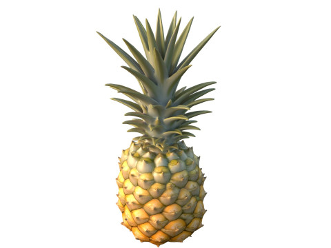 Ananasfrucht 3D Modell