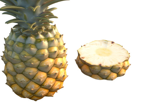 Ananasfrucht 3D Modell