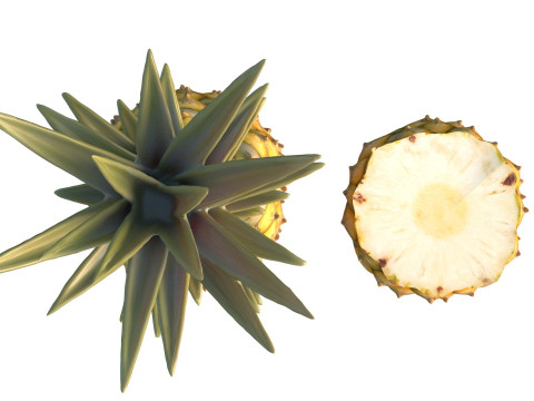 Ananasfrucht 3D Modell