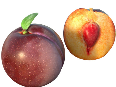Pflaumenfrucht 3D Modell