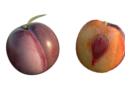 Pruimenfruit 3D Model
