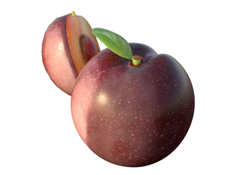 Pruimenfruit 3D Model