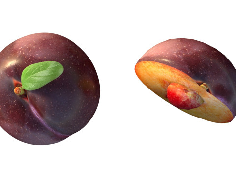 Pruimenfruit 3D Model