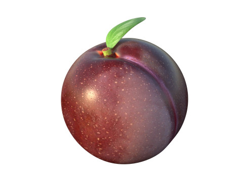 Pruimenfruit 3D Model