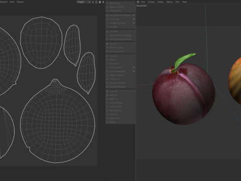 Plum Fruit 3D Model