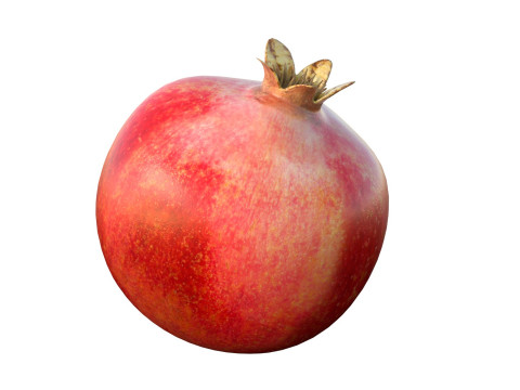 Fruits De Grenade Modèle 3D