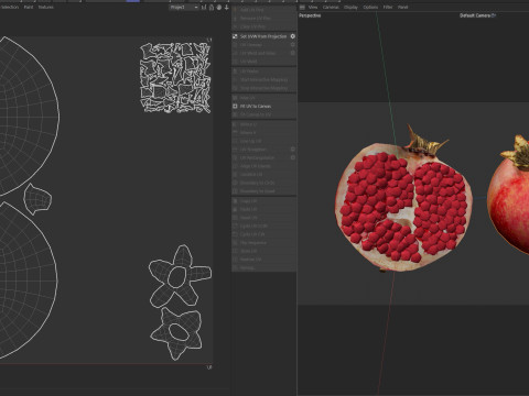 Fruits De Grenade Modèle 3D