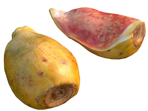Kaktusfeigenfrucht 3D Modell