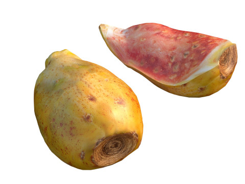 仙人掌果 3D 模型