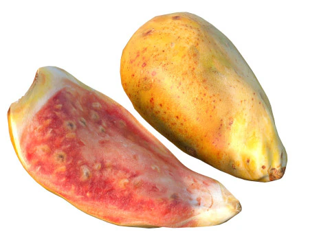 Frutto del fico d'india Modello 3D