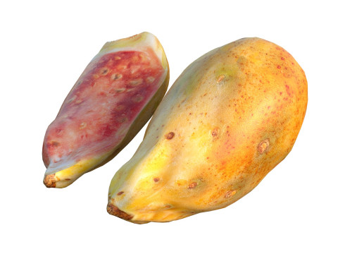 仙人掌果 3D 模型