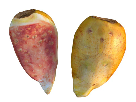 Frutto del fico d'india Modello 3D