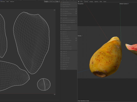 仙人掌果 3D 模型