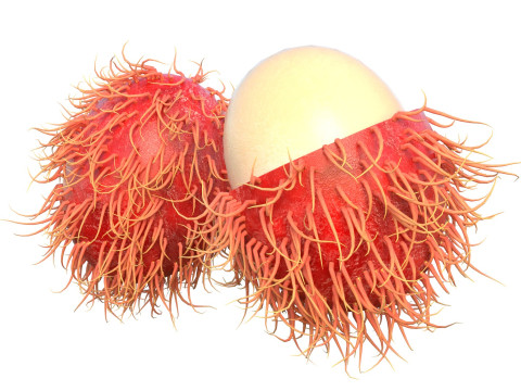 Ramboetan-fruit 3D Model