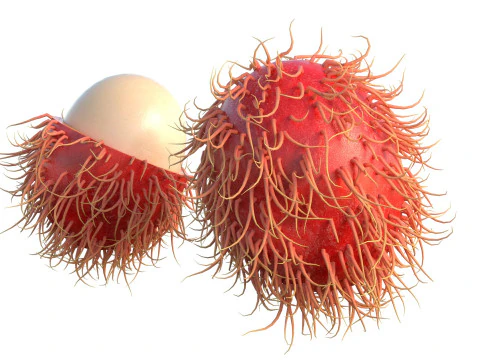 Frutto del Rambutan Modello 3D