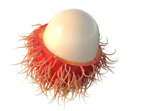 Frutto del Rambutan Modello 3D