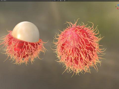 Frutto del Rambutan Modello 3D