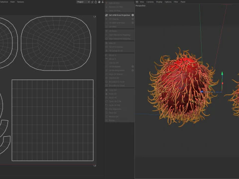 Frutto del Rambutan Modello 3D