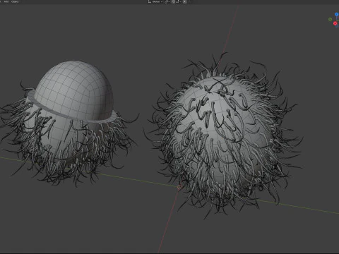 Frutto del Rambutan Modello 3D