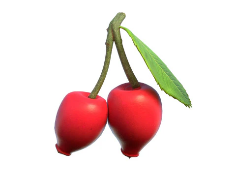 Frutto della rosa canina Modello 3D