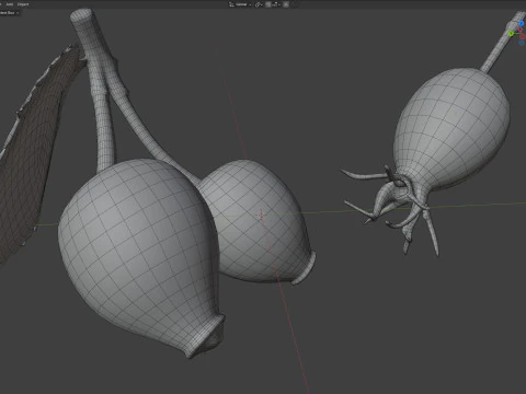 Frutto della rosa canina Modello 3D