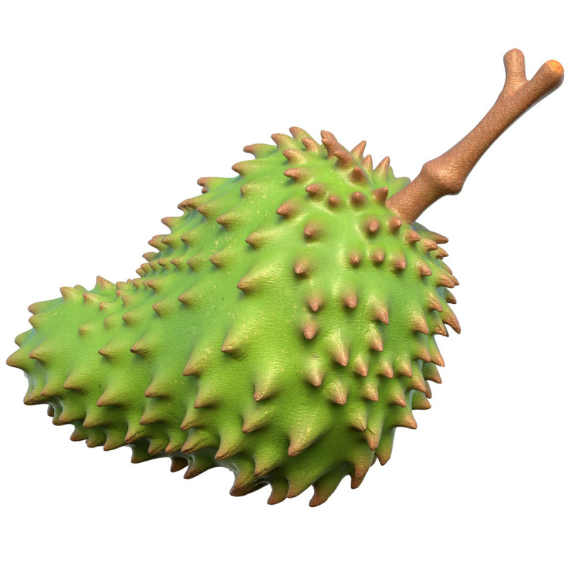 Sauerampferfrucht 3D Modell .c4d .max .obj .3ds .fbx .stl .blend 