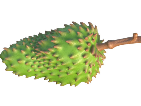 Sauerampferfrucht 3D Modell