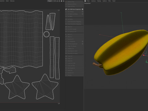 Owoc Gwiezdny Model 3D