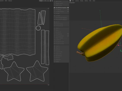 Yıldız meyvesi meyvesi 3D Model