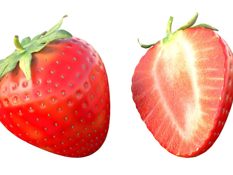 Erdbeerfrucht 3D Modell