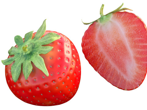 Erdbeerfrucht 3D Modell