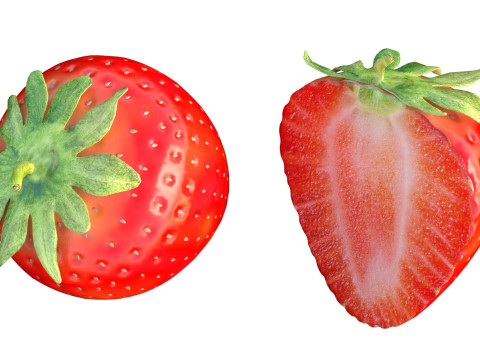 Erdbeerfrucht 3D Modell