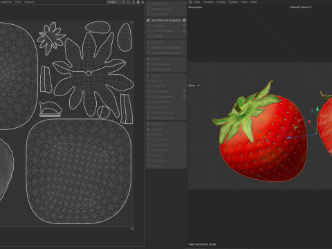 Erdbeerfrucht 3D Modell