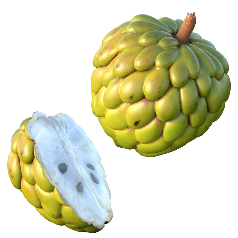 Sugar apple Fruit 3D Model .c4d .max .obj .3ds .fbx .stl .blend 