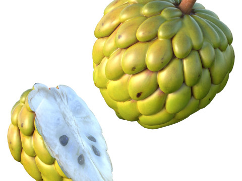 Zuckerapfelfrucht 3D Modell