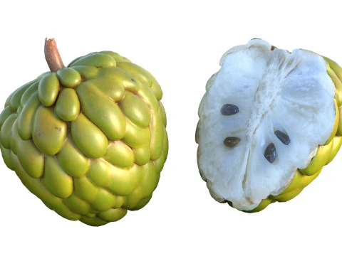 Sugar apple Fruit 3D Model
