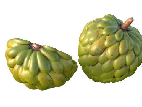 糖苹果 水果 3D 模型