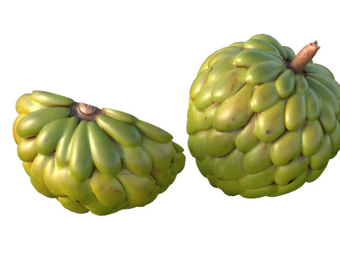 Sugar apple Fruit 3D Model