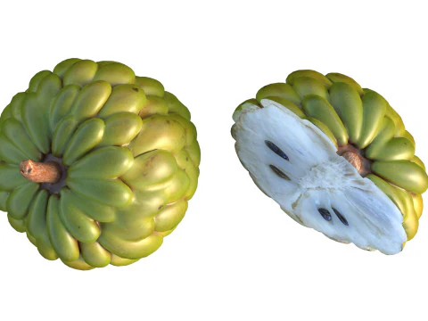 Sugar apple Fruit 3D Model