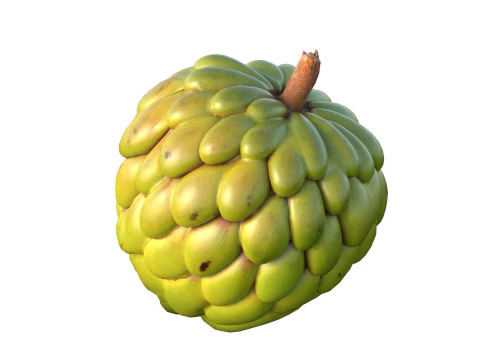 Sugar apple Fruit 3D Model