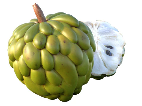 Sugar apple Fruit 3D Model
