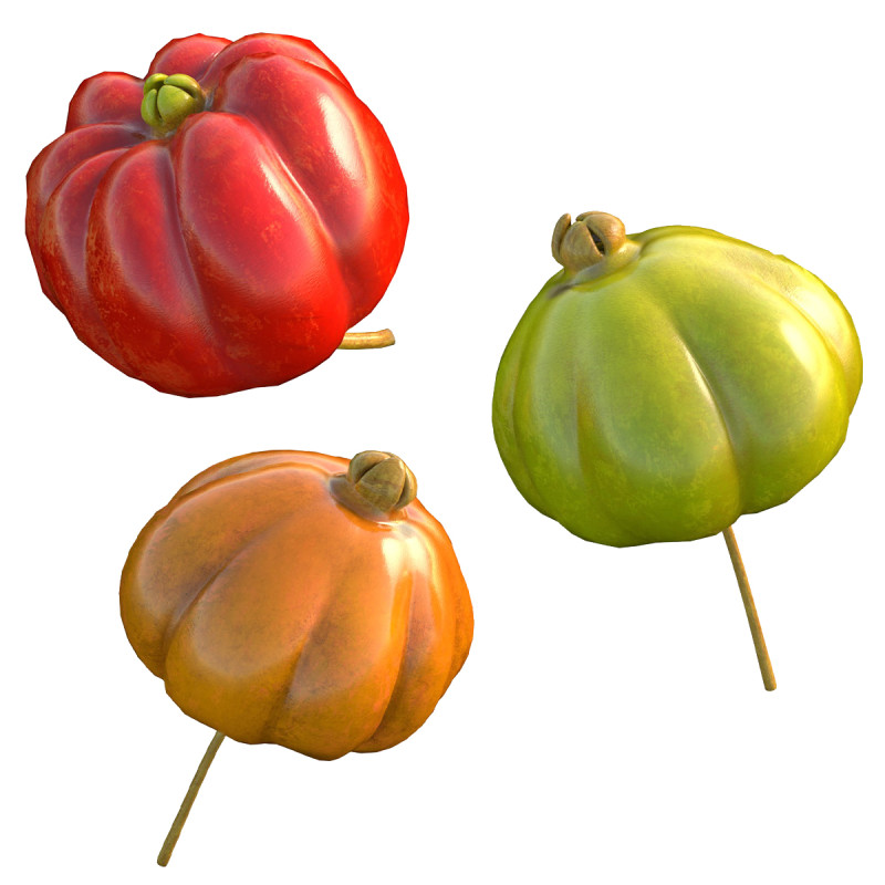 सूरीनाम चेरी पिटंगा फल 3D मॉडल .c4d .max .obj .3ds .fbx .stl .blend 