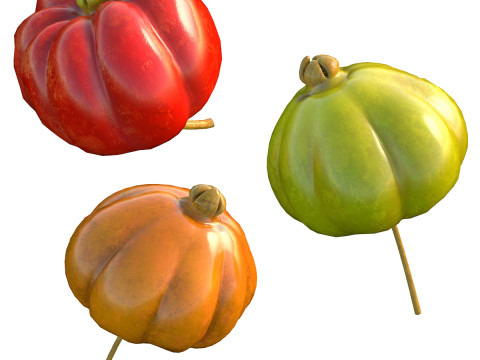 सूरीनाम चेरी पिटंगा फल 3D मॉडल