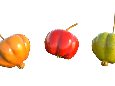 सूरीनाम चेरी पिटंगा फल 3D मॉडल