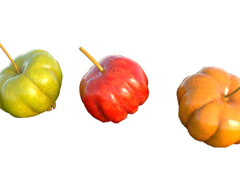 सूरीनाम चेरी पिटंगा फल 3D मॉडल