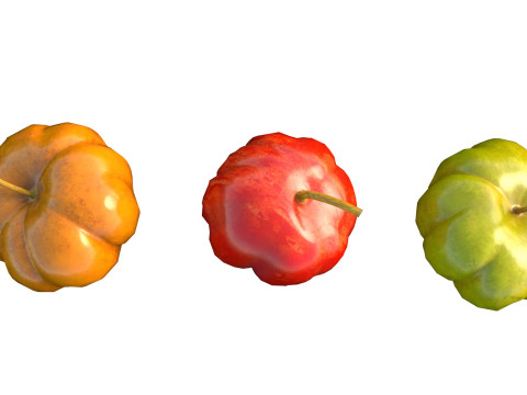 सूरीनाम चेरी पिटंगा फल 3D मॉडल