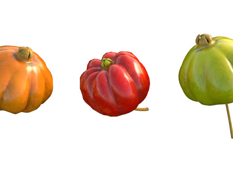 सूरीनाम चेरी पिटंगा फल 3D मॉडल