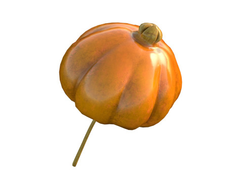 सूरीनाम चेरी पिटंगा फल 3D मॉडल