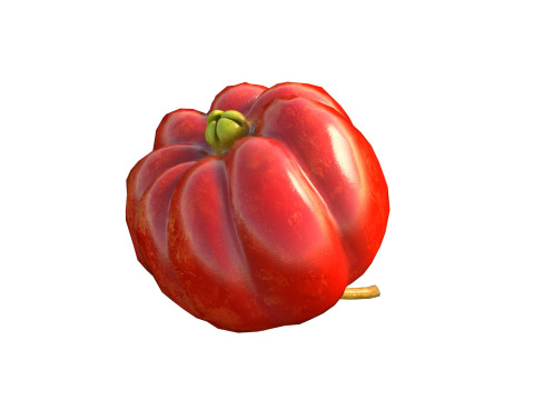 सूरीनाम चेरी पिटंगा फल 3D मॉडल