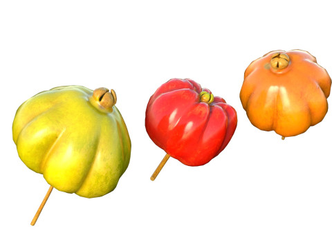 सूरीनाम चेरी पिटंगा फल 3D मॉडल